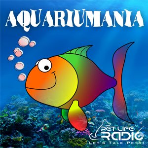 Aquariumania with Dr. Roy Yanong