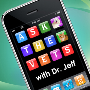 Ask the Vets with Dr. Jeff with Dr. Jeff Werber