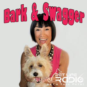 Bark & Swagger with Jody Miller-Young