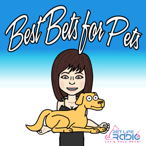 Best Bets for Pets with Michelle Fern