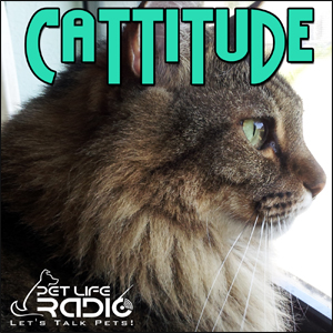 Cattitude with Michelle Fern & Tom Dock