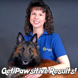 Get Pawsitive Results with Teoti Anderson