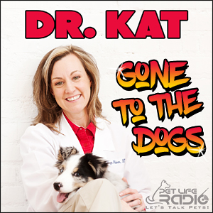 Dr. Kat Gone to the Dogs with Dr. Kathrym Primm on Pet Life Radio
