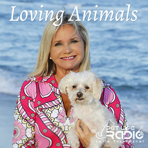 Be Loving Animals with Dr. Robin Ganzert