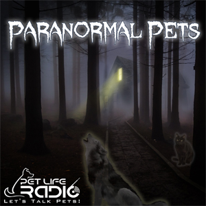 Paranormal Pets with Brandy Stark