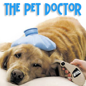 The Pet Doctor with Dr. Bernadine Cruz